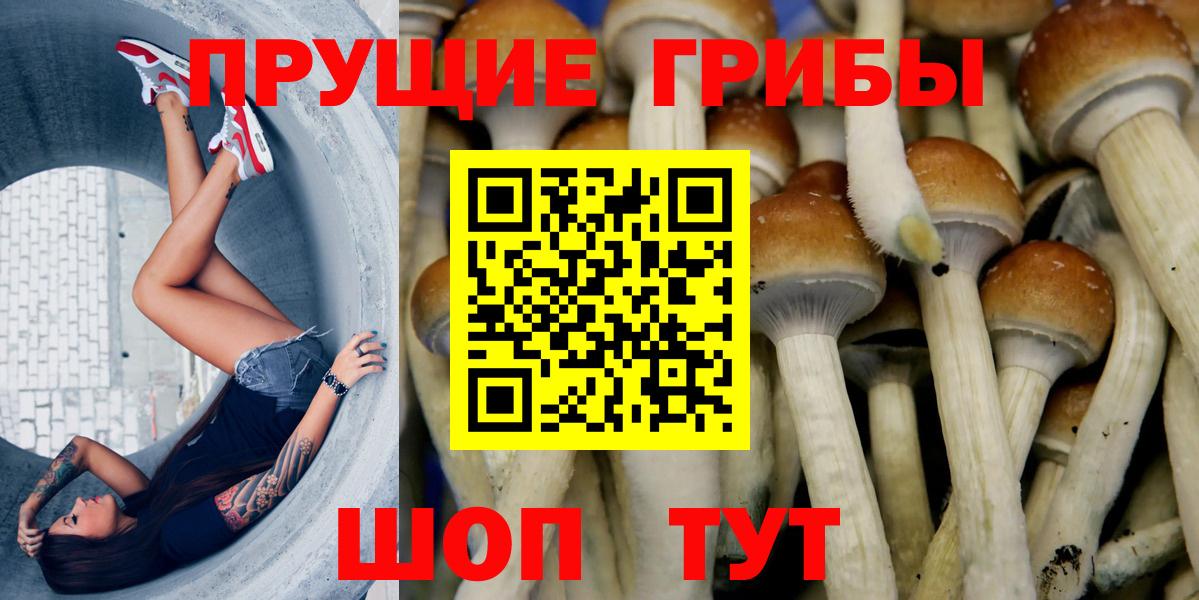 Псилоцибиновые грибы Cubensis Александров